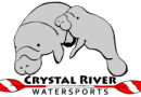 Crystal River Watersports: Explore Florida’s Nature Coast