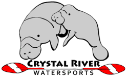 Crystal River Watersports: Explore Florida’s Nature Coast